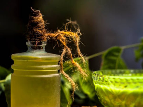 Herbal Scalp Treatment